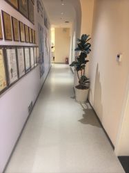 -哈喽美妈产后恢复中心(乐堤港店)