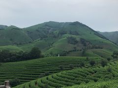 -帐篷客·溪龙茶谷度假酒店