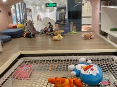 -BossBabe亲子餐厅(金光华广场店)