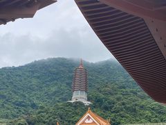 -深圳仙湖植物园