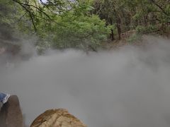 -北京西山国家森林公园