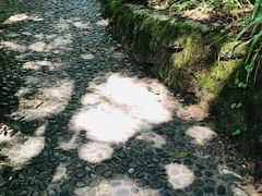 -神农架香溪源景区