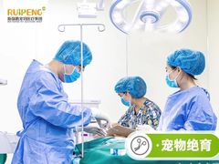 -纳吉亚猫专科动物诊疗中心(蒋宅口分院)