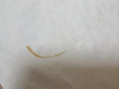 -吉野家(红博中央公园店)