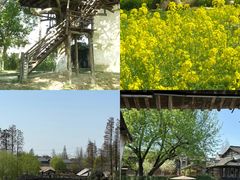 -乌镇景区