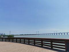 -宝安西湾红树林湿地公园