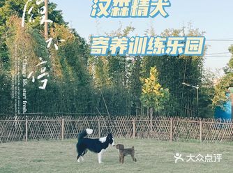 朋友约我一起来的，因为她想找个专业的地方训练一下小狗