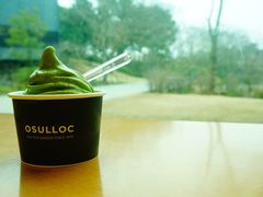 -雪绿茶博物馆