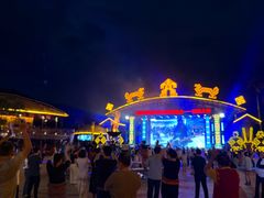-海南槟榔谷黎苗文化旅游区