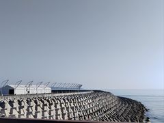 -星光岛
