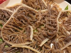 -成渝龙火锅(都江堰店)