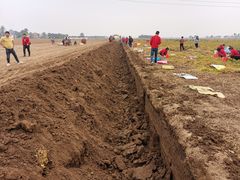 -解家河南菜(商鼎路店)