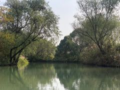 -西溪国家湿地公园