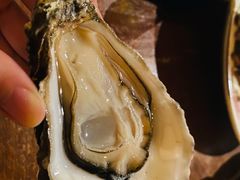 生蚝-斯普汇生蚝牛排馆(中骏世界城店)