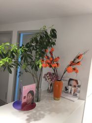 门面-原力医疗美容