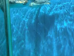 -泉城欧乐堡海洋极地世界