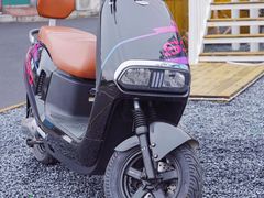 -绿源电动车(普陀专卖店)