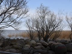 -上海吴淞炮台湾国家湿地公园