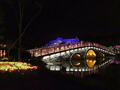 -大塘金香草谷