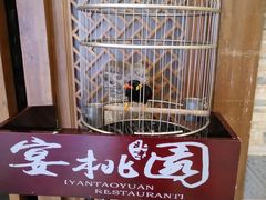 -宴桃园(门头沟店)