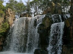 -上海鲜花港