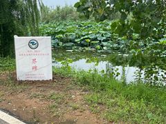 -池杉湖湿地公园