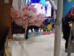 -Mr·Kuma酷么先生雪之乐园