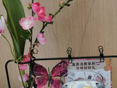 -哈根达斯(金湖广场店)