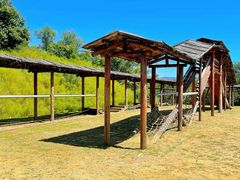 -北京张裕爱斐堡酒庄