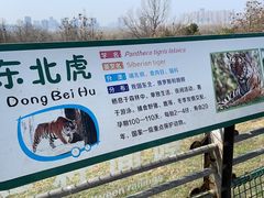 -合肥野生动物园
