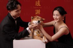-金公主婚纱摄影(和平店)