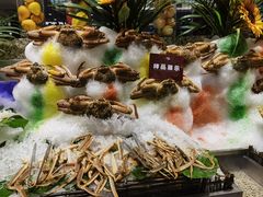 -初色海鲜自助(万丰路店)