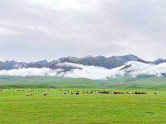 -新疆那拉提国家旅游度假区