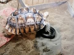 -太奥幻太奇海洋馆
