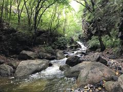 -云岫谷游猎自然风景区