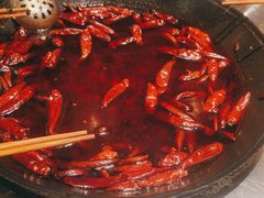 -朱光玉火锅馆(正弘城店)