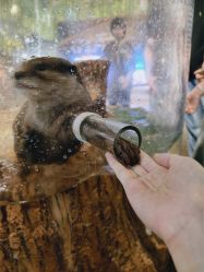-Zoolung Zoolung动物主题公园(海信广场店)
