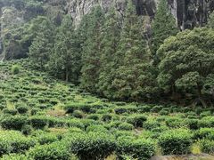 -石台牯牛降景区