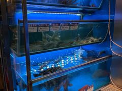 -協成海鮮火鍋(老店)