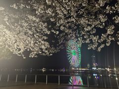 -蠡湖大桥公园