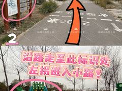 -东郊湿地公园