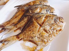 -黄但记老店·陈村粉食府