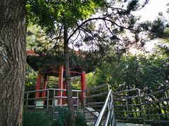 -黄村公园