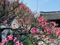 -南园(太仓市)