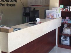 -艾贝尔宠物医院 ·内科全科(梁溪路店)