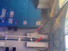 -移动谜城·大笨象密室逃脱(五棵松店)