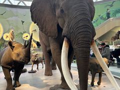 -陕西自然博物馆