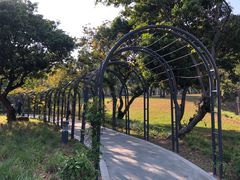 -四海公园(南山区)