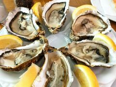 -NORDSEE Frankfurt Fisch Franke