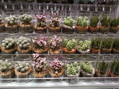 -KKV(深圳宏发大仟里店)